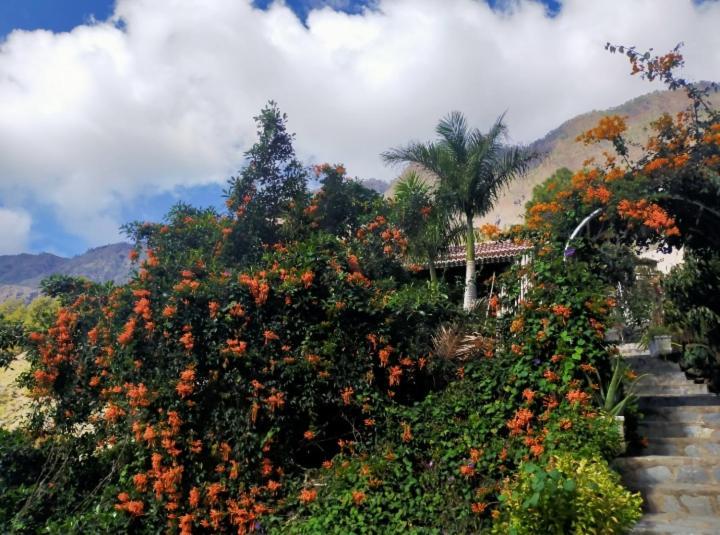 Rivendell, The Moon'S Cradle Hotel El Paso Kamer foto