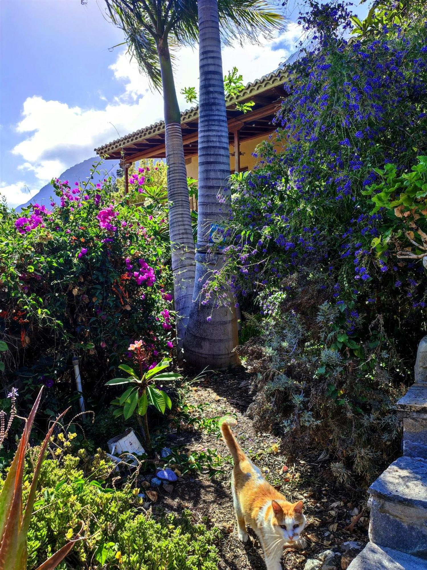 The Cradle Of The Moon, Rivendell Hotel El Paso Buitenkant foto